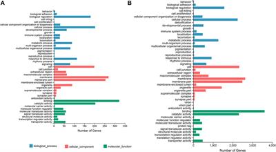 Identification and Characterization of Dimorphic Expression of Sex-Related Genes in Rock Bream, a Fish With Multiple Sex Chromosomes